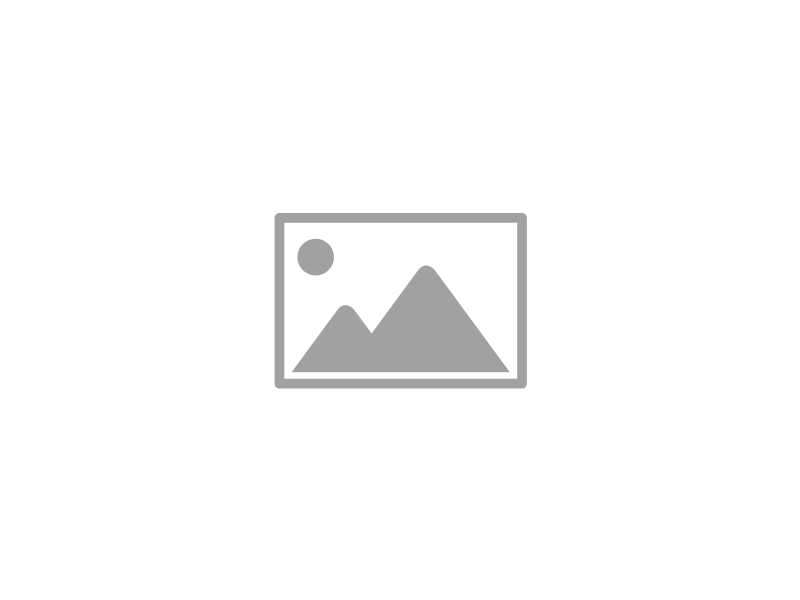 2017