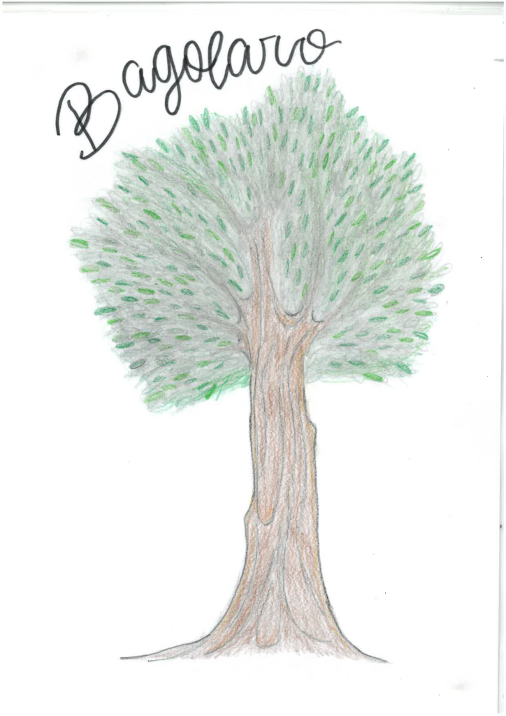 Disegno bagolaro